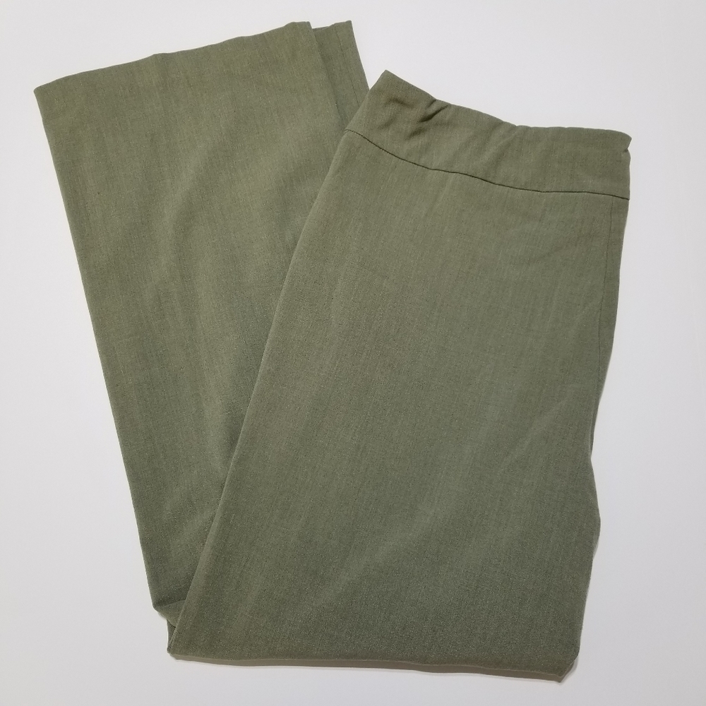 Briggs New York Career Slacks Straight Green 18